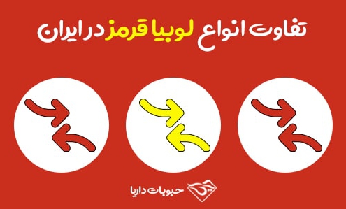 تفاوت اواع لوبیا قرمز در ایران
