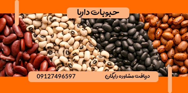 فروش انواع لوبیا سفید وارداتی و صادراتی