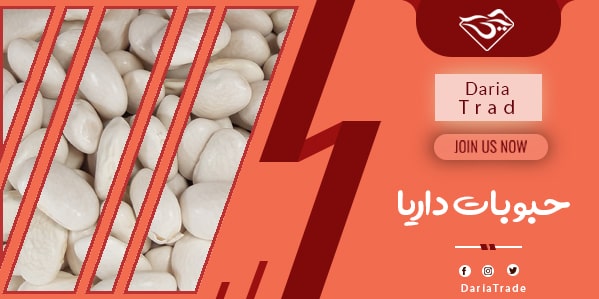 قیمت انواع لوبیا سفید ایرانی
