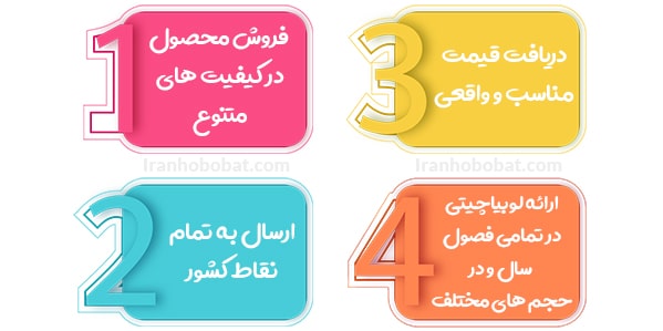 قیمت عمده لوبیاچیتی
