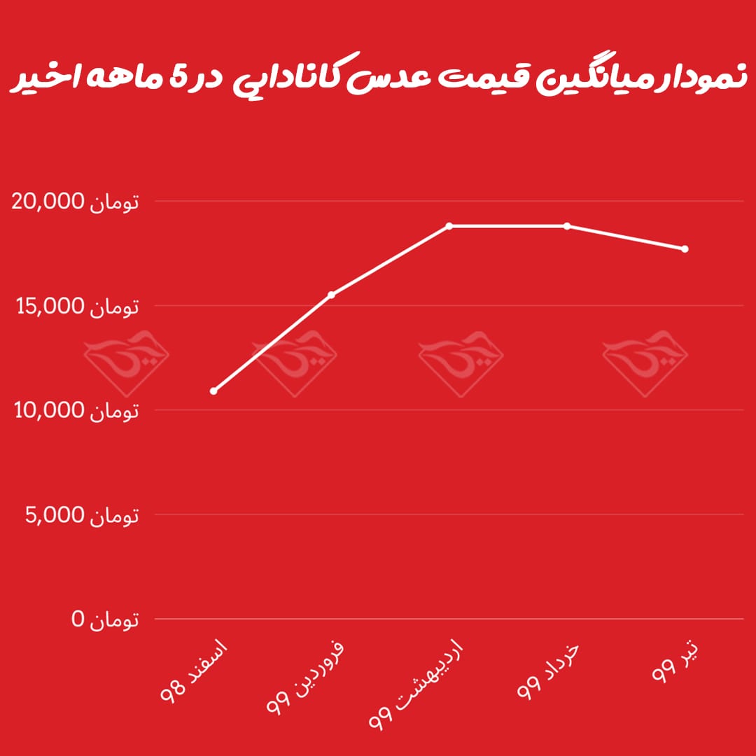 قیمت عدس کانادایی