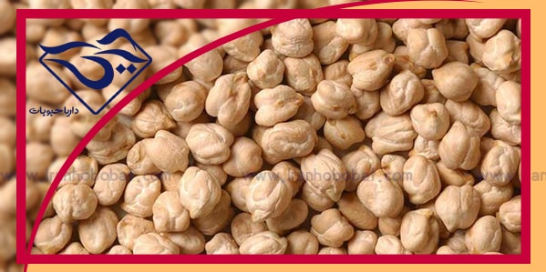 فروش نخود صادراتی کرمانشاه