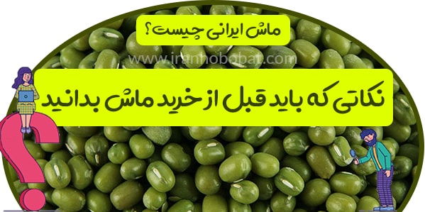 فروش ماش